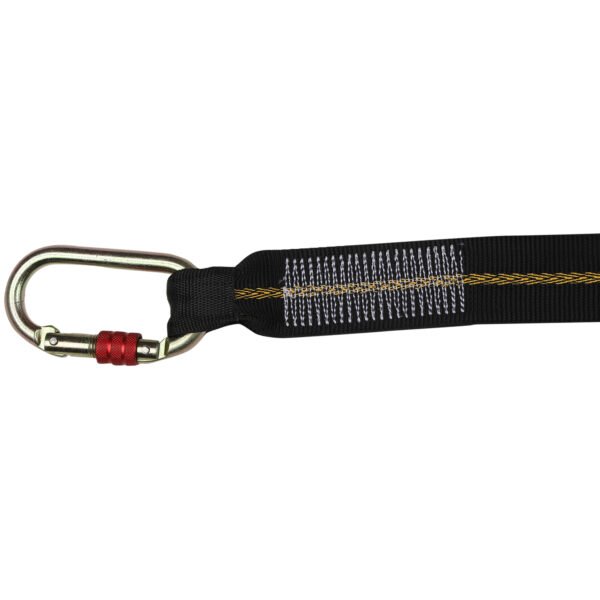 Webbing Lanyard with Loop Attachment and Carabiner Anchorage - Image 3