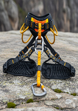 Climbing Harness